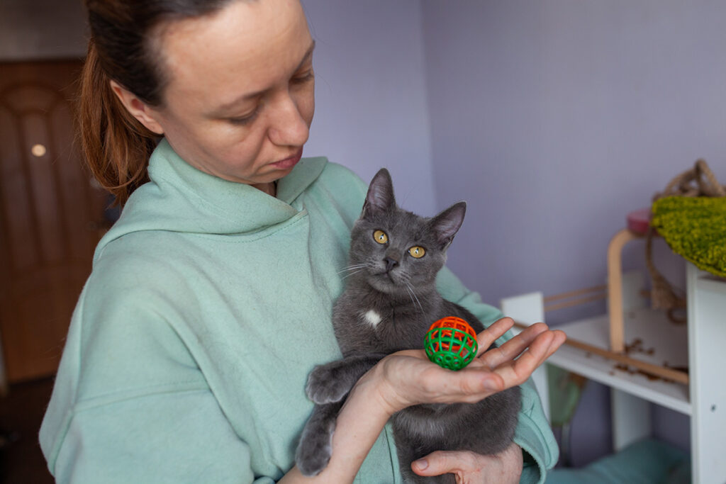 котик Зайка