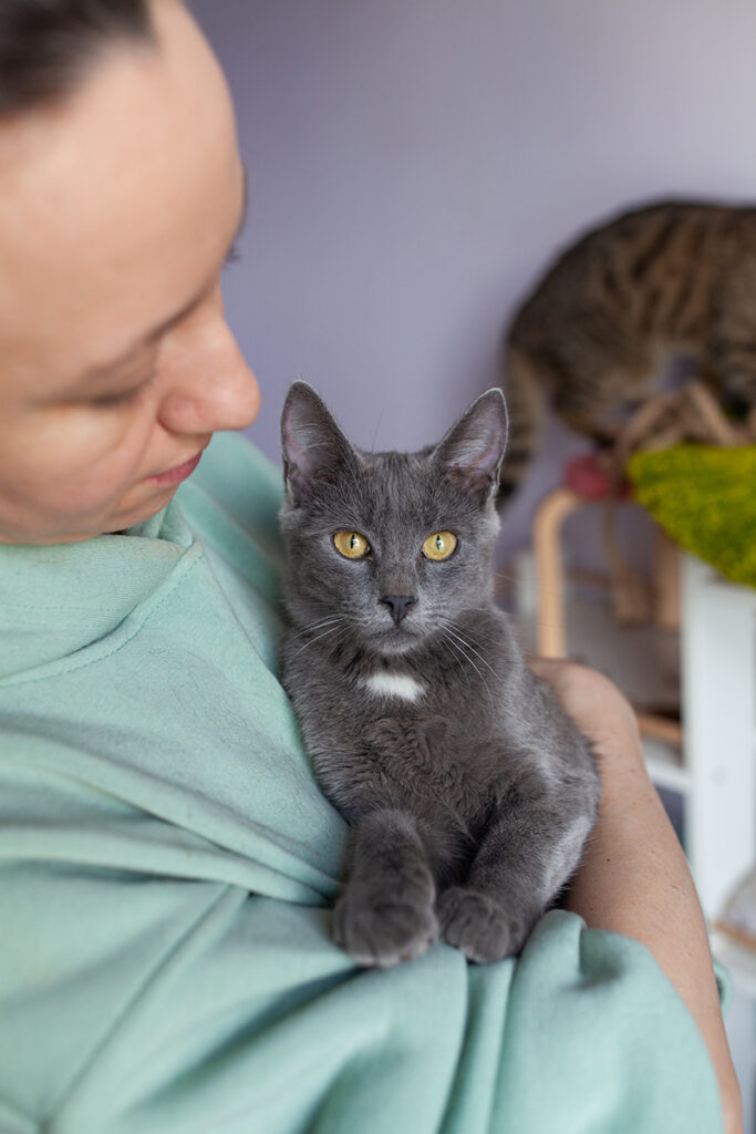 котик Зайка