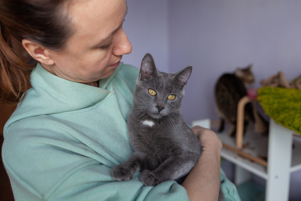 котик Зайка